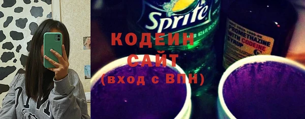 крисы Козельск