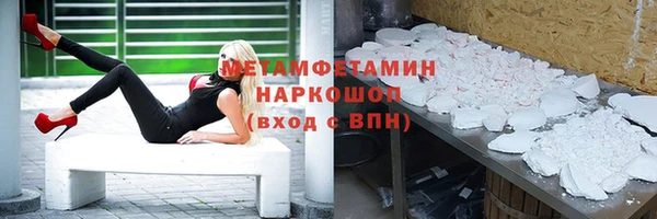 крисы Козельск
