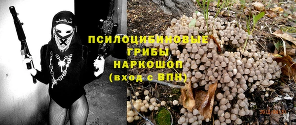 МДПВ Козловка