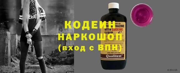 крисы Козельск
