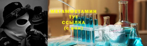 крисы Козельск