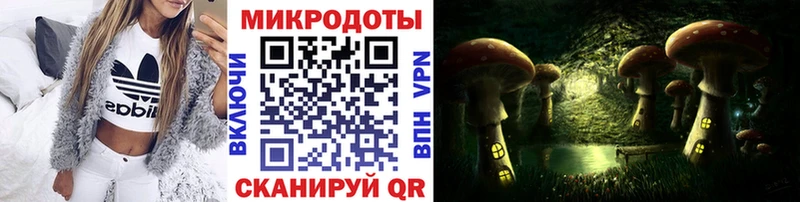 Купить где  Гаджиево  Псилоцибиновые грибы Psilocybe 
